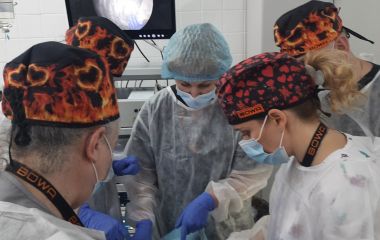 BASIC PRACTICAL SKILLS OF LAPAROSCOPIC PELVIS SURGERY FOR GYNECOLOGISTS