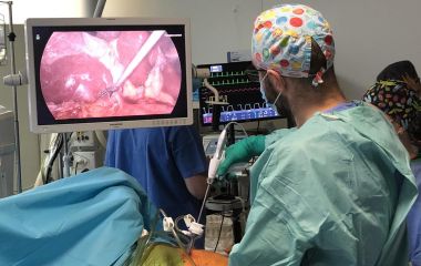 "LAPAROSCOPIC ANATOMICAL RESEARCH OF THE LIVER: INDICATIONS, TECHNIQUES, TIPS AND TRICKS"