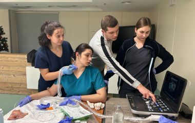 Тренінг з оволодінням практичних навичок  «Правила вибору типу судинного доступу у дітей»