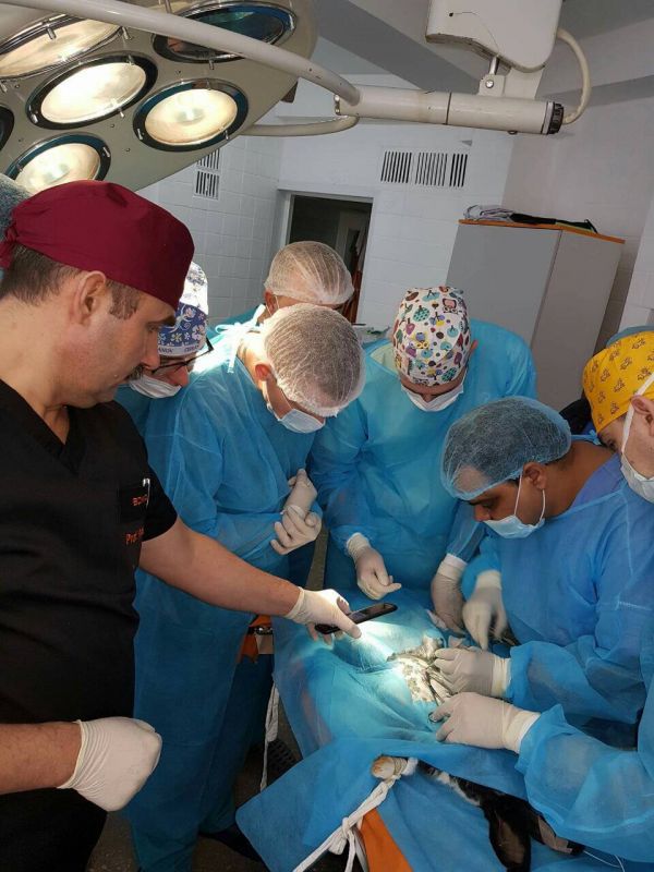 ТЕХНІКА ВИКОНАННЯ ХІРУРГІЧНИХ ВТРУЧАНЬ В ДИТЯЧІЙ ХІРУРГІЇ