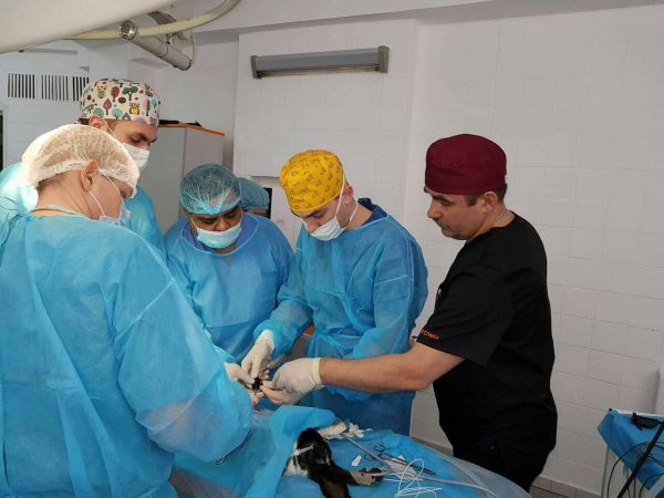 ТЕХНІКА ВИКОНАННЯ ХІРУРГІЧНИХ ВТРУЧАНЬ В ДИТЯЧІЙ ХІРУРГІЇ