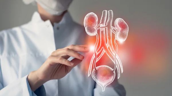 МАЙСТЕР-КЛАС «ЛАПАРОСКОПІЧНІ ОСОБЛИВОСТІ ЛІКУВАННЯ ДОБРОЯКІСНИХ І ЗЛОЯКІСНИХ ЗАХВОРЮВАНЬ СЕЧОВИХ ШЛЯХІВ»